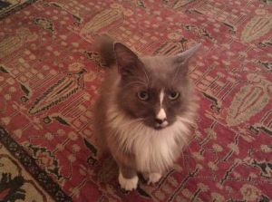 .facebook_1926951352